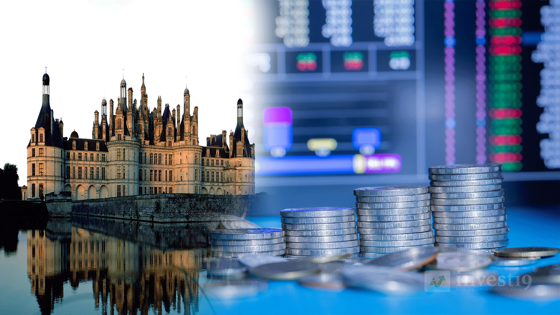 Why should you Invest in WideMoat Stock? Invest19 Financial Blog